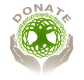 Help Support CeltFest